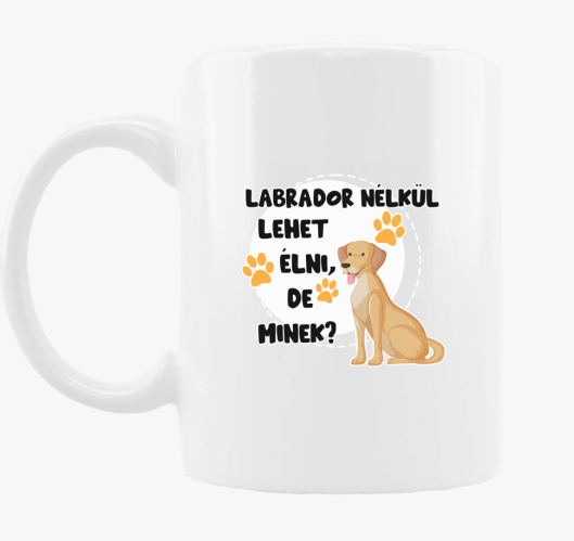 Labrador lehet de minek skodel...