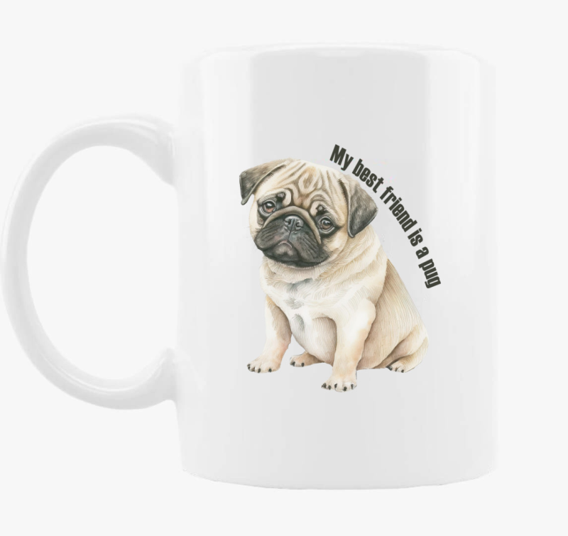 My best friend is pug skodelica