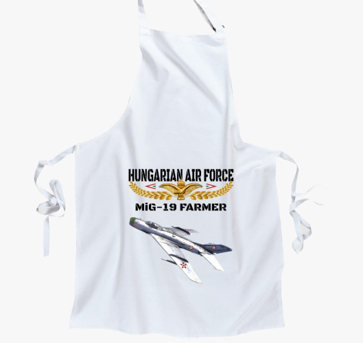 Aranysas MiG-19 predpasnik