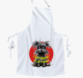 Pincsi kutya predpasnik