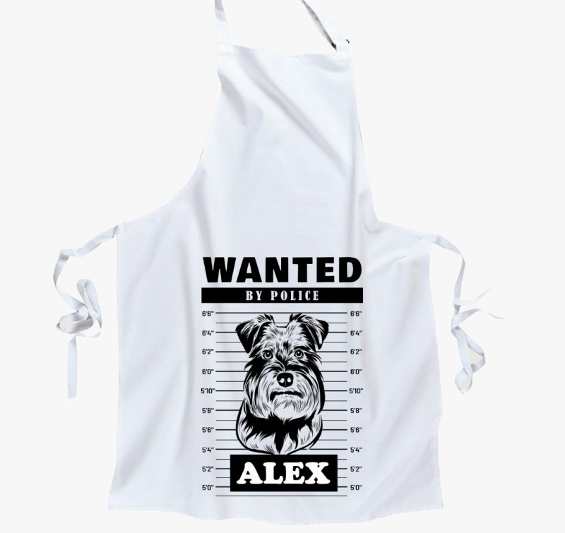 Schnauzer wanted predpasnik
