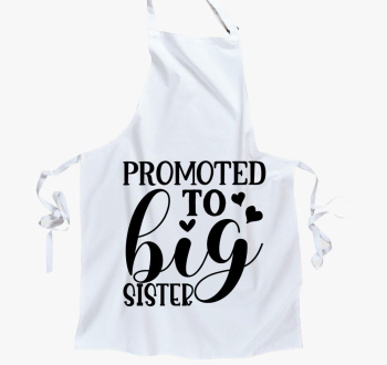 Big Sister predpasnik