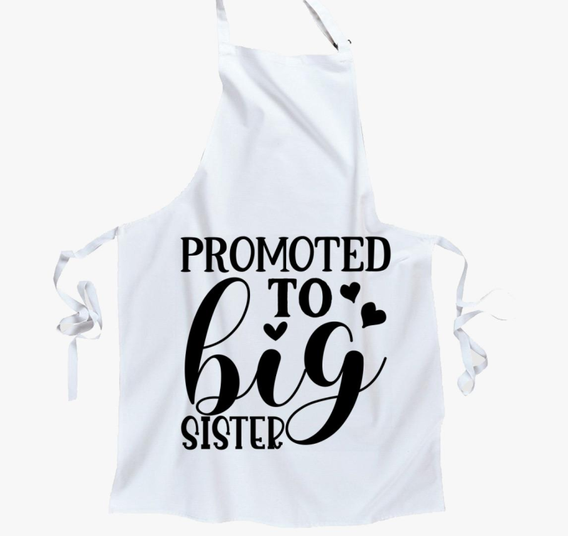 Big Sister predpasnik