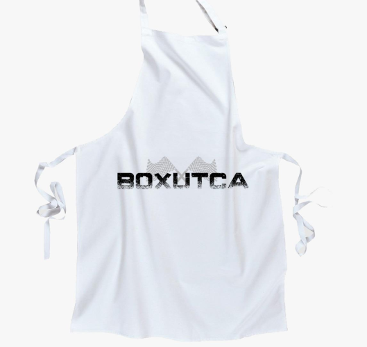 Forma 1 boxutca predpasnik