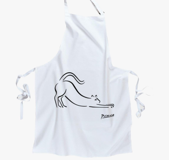 Picasso CAT predpasnik