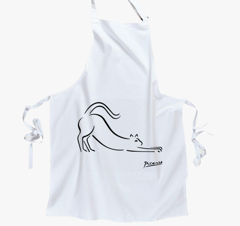 Picasso CAT predpasnik