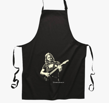 Pink Floyd-David Gilmour predpasnik