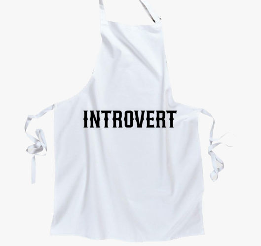 Introvert predpasnik