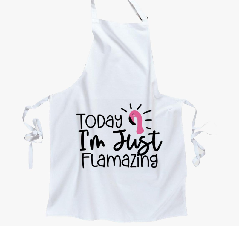 Flamazing predpasnik