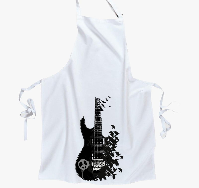 Black guitar and crow predpasnik