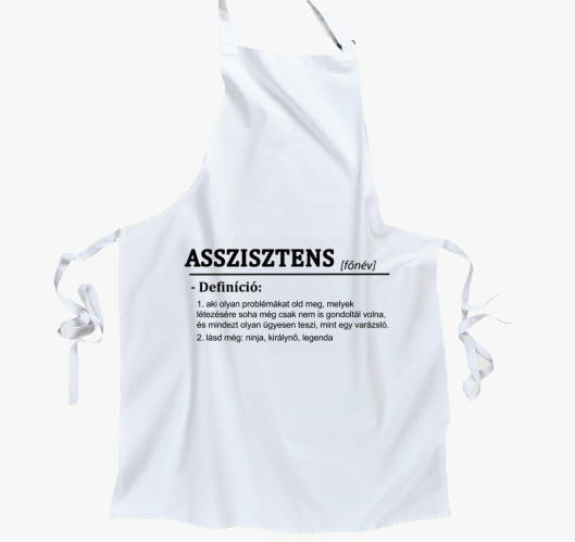 Asszisztens predpasnik