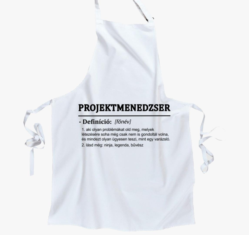 Projektmenedzser predpasnik