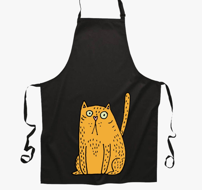 Rajtakapott macska predpasnik