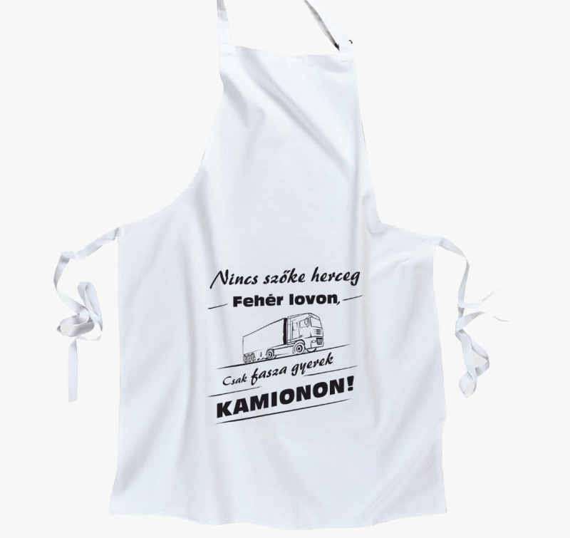 Kamion voznik predpasnik