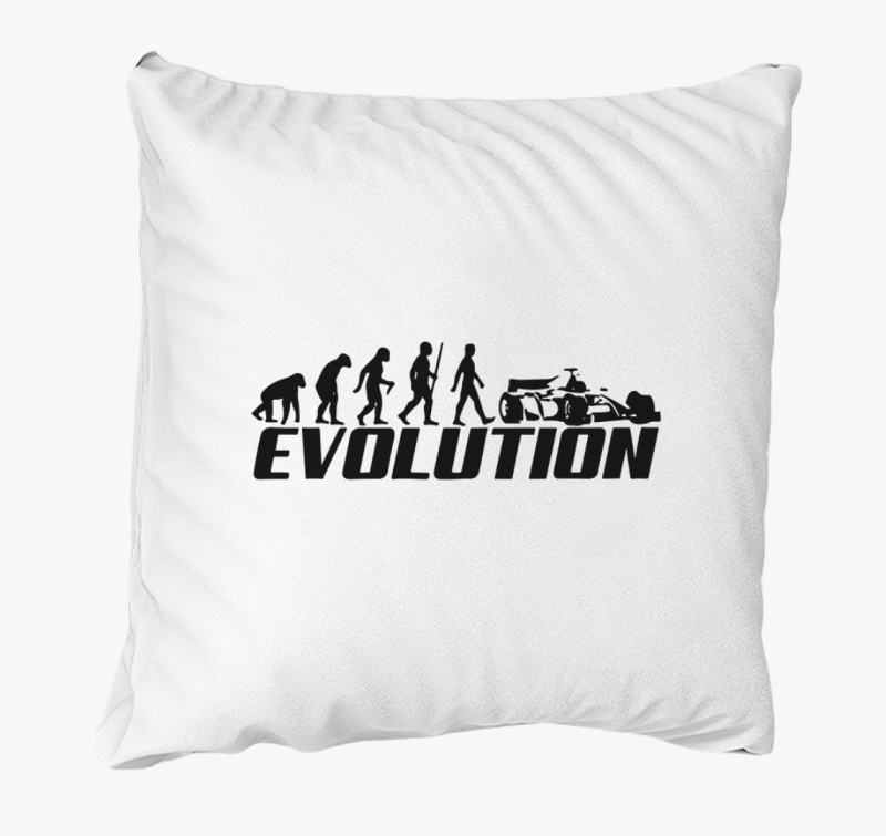 Evolution F1 blazina