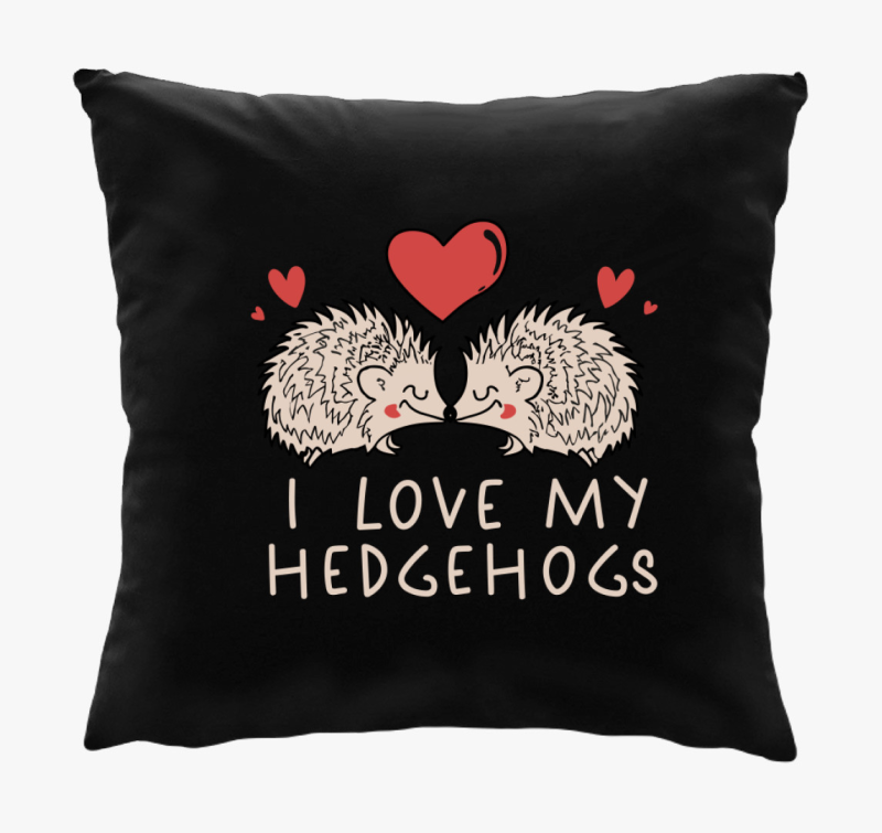 I love my hedgehogs blazina