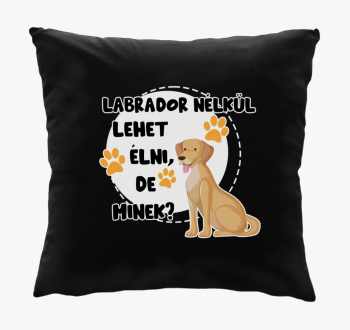 Labrador lehet de minek blazina