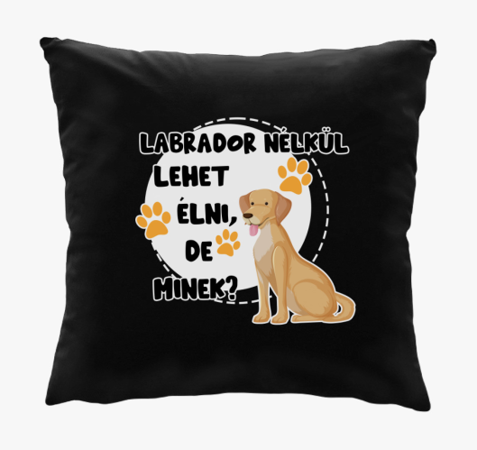 Labrador lehet de minek blazin...