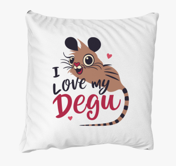 I love my degu blazina