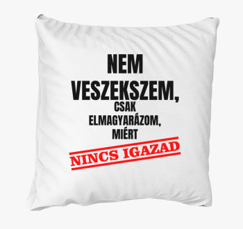Ne veszekszem csak zakaj nincs igazad blazina
