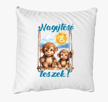 leszek, kismajmok blazina