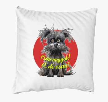 Pincsi kutya blazina