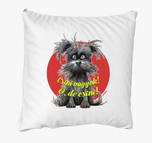 Pincsi kutya blazina