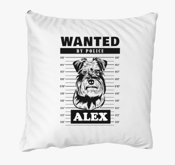 Schnauzer wanted blazina