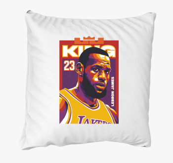 LeBron James blazina