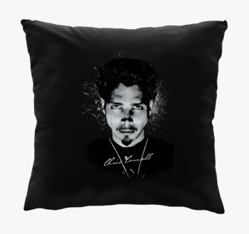 Chris Cornell blazin