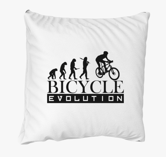 Bicycle evolution blazina