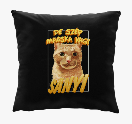 De macska ali Sanyi blazina