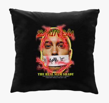 Eminem the real slim shady blazina