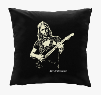 Pink Floyd-David Gilmour blazina