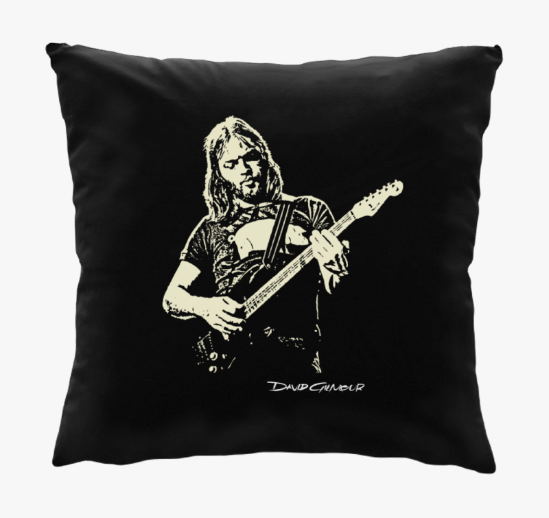 Pink Floyd-David Gilmour blazina