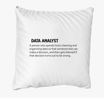 data analyst blazina