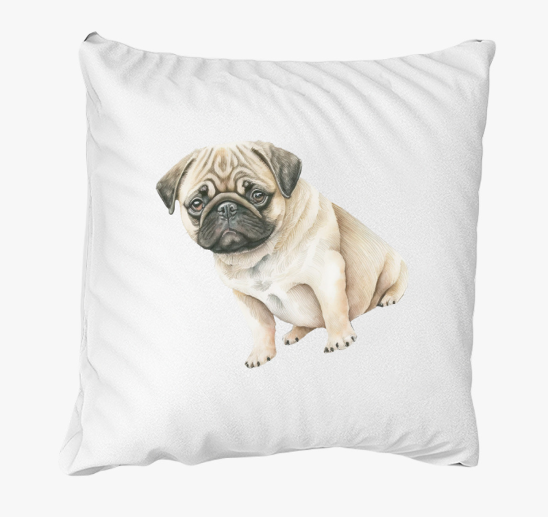 Mopsz akvarell blazina