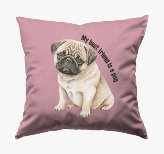 My best friend is pug blazina