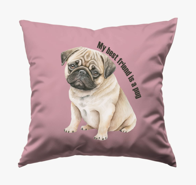 My best friend is pug blazina