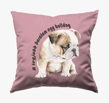 legjobb bulldog blaz