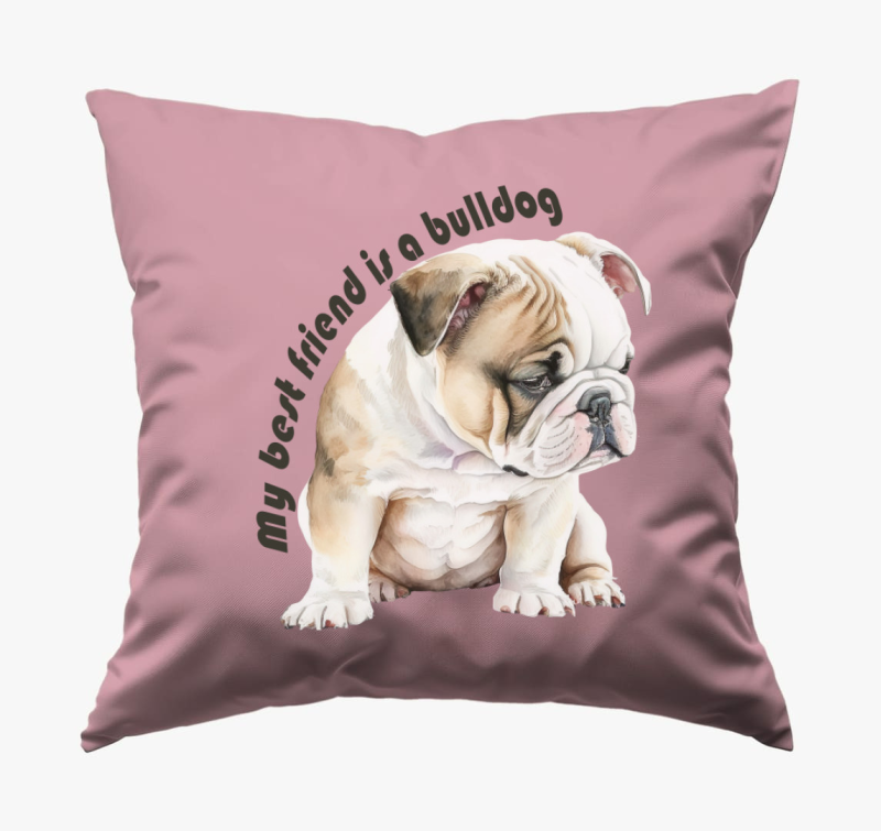 My best friend is bulldog blazina