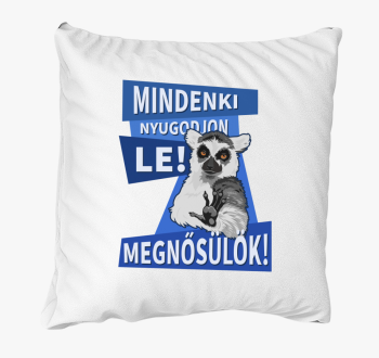 Vsakdo nyugodjon le blazina