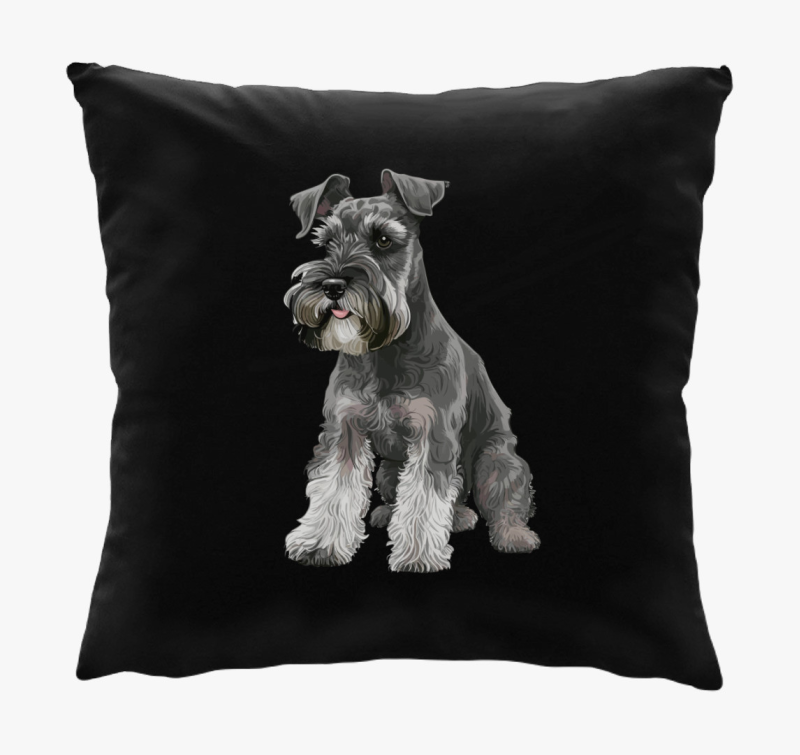 Schnauzer blazina