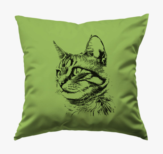 Aranyos cica 2 blazina