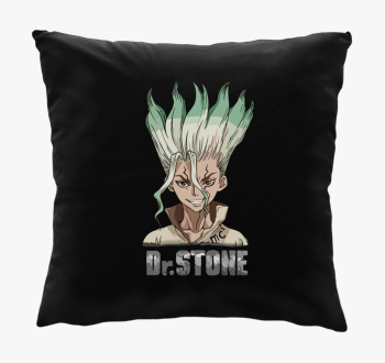 Dr Stone blazina