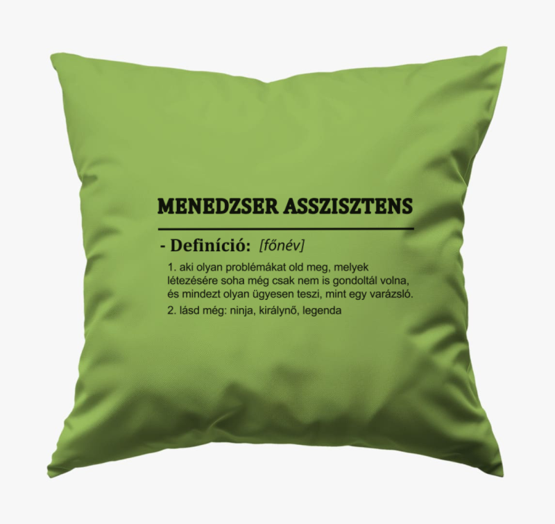 menedzser assisztens blazina