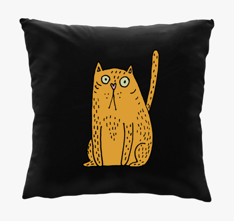 Rajtakapott macska blazina