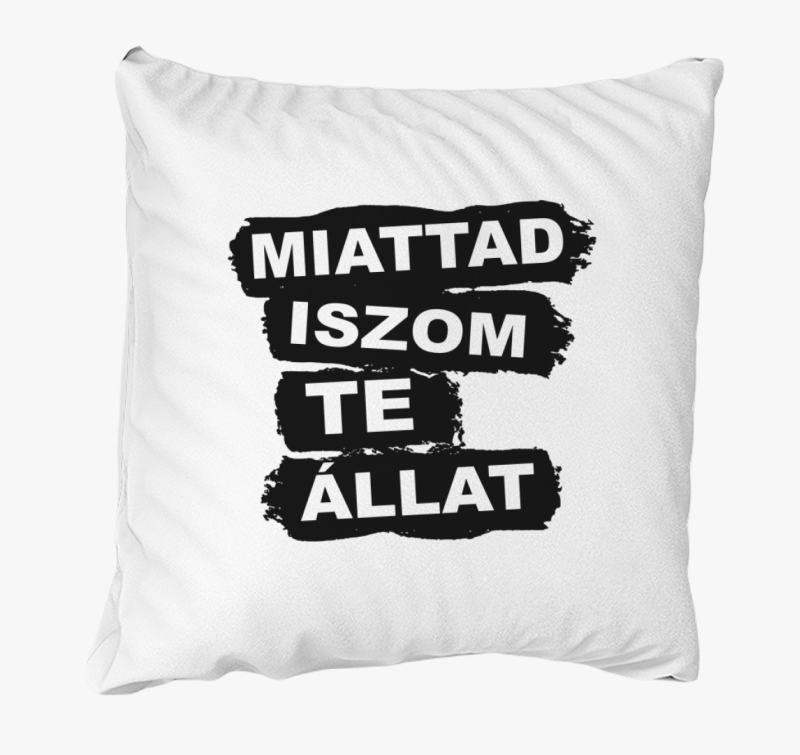 Miattad iszom te - blazina