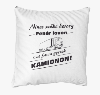 Kamion voznik blazina