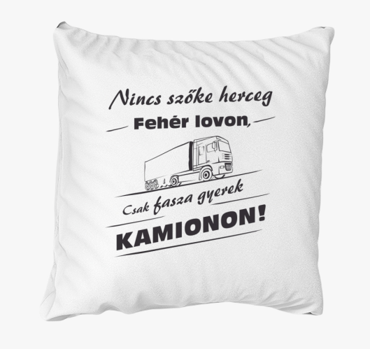 Kamion voznik blazina